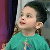 miladmir.dr