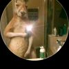 alexander.gonzale7595