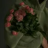 hpo_113