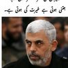 malik.qasim3523