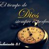 fooreeveerrrhaappyy17