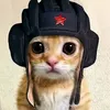 shvegx1