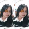 sfwaa_llia