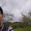 oscar.perea565