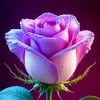 user611900816188