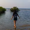 ssilvdx