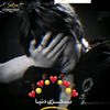 mohammad.afghan439