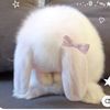 nindyy4you1