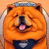 brunoofticktock