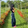 chhouchhou33