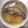 intro7sex01