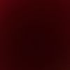 backup_202440