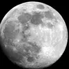 DarkMoon_YT