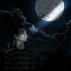 ali.design