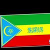 toybamouhmed571
