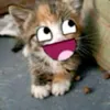 tiensubochungm
