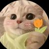 sajid_533