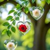 sanam.queen787