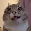frvrkjjjjj