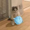 powervigor0