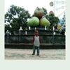 andik80841