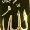 user787880340688633