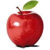 apple_xd05