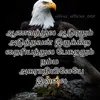 rv_sk_ltte