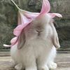aliyyah_3130