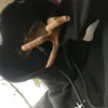 lanhsaid_pvl