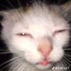 ijust_woke_up