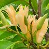 phyu.phyu4380