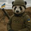 vlad_topor