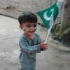 shamwil.ahmad4