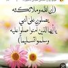 shahdmohamed3502