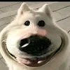 chuatailamhaha