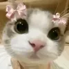 oliwia8874
