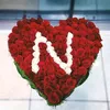 nisre23