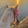 rlil_39