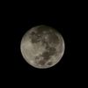nour.alsharif1