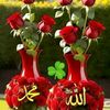 user20252019941182