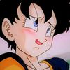 videl489