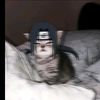 luzi__12453