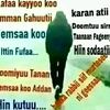 saeyed.adam