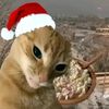 ira_mustafa3