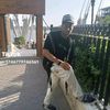 user5390019939685