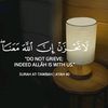 user4075757002081