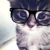 stephani.gdy_