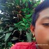 edy.warcas
