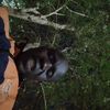 edemaismail61.com